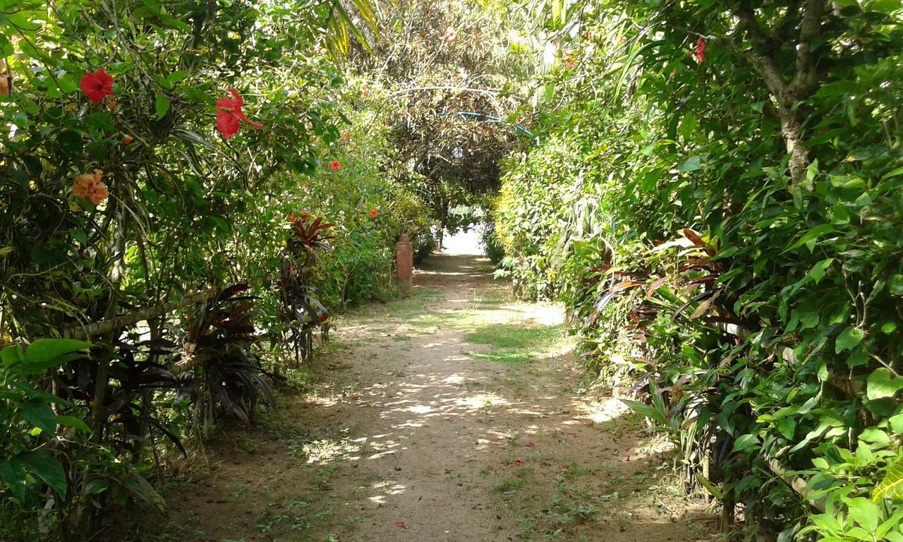 Big Banana Island Retreat Hotel North Paravur ภายนอก รูปภาพ