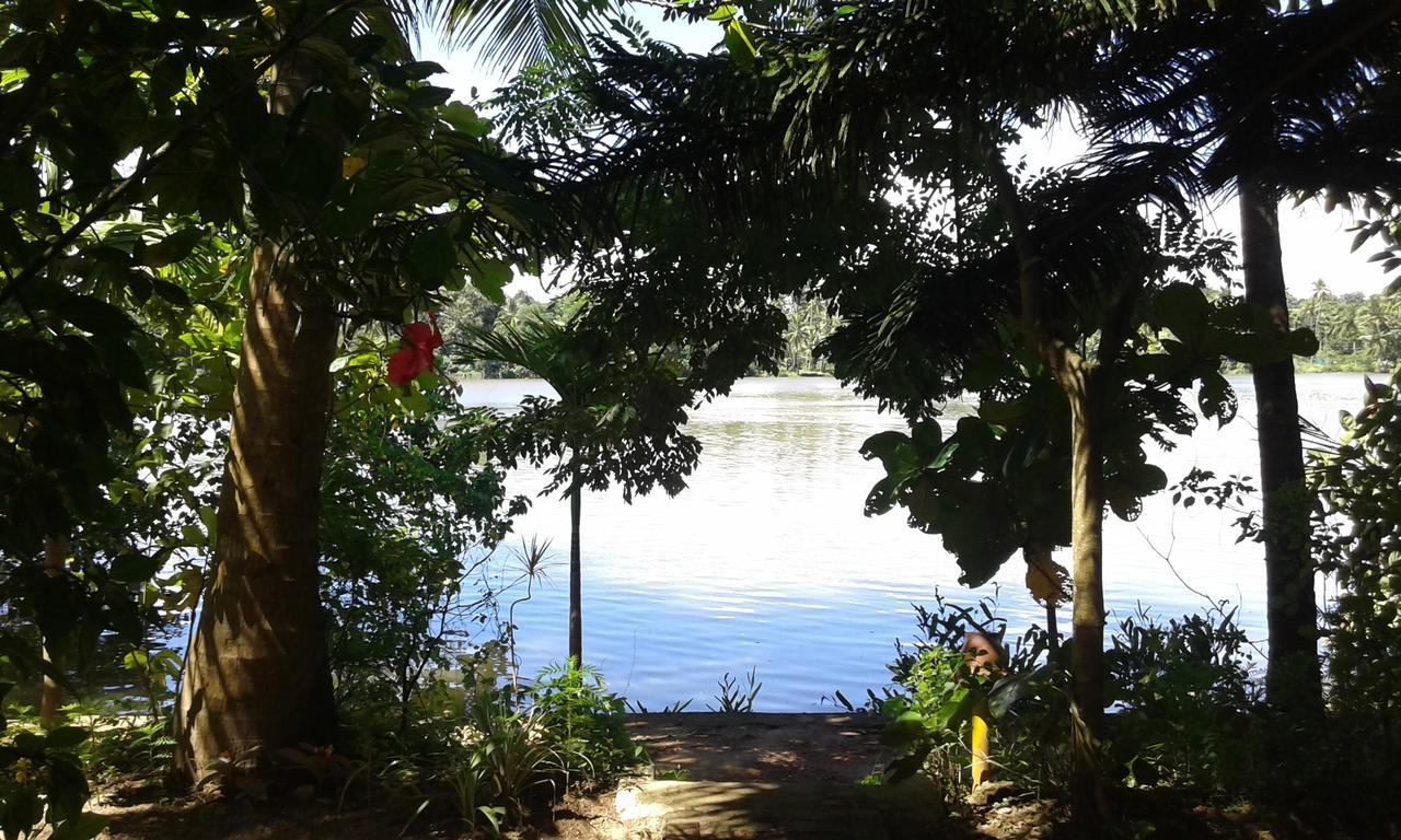 Big Banana Island Retreat Hotel North Paravur ภายนอก รูปภาพ